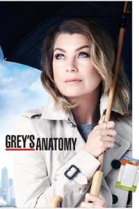 Download Grey’s Anatomy (Season 1-20) {English With Subtitles} 720p Bluray [280MB] || 1080p [1GB]