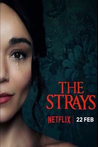 Download The Strays (2023) Dual Audio (Hindi-English) Msubs WEB-DL 480p [330MB] || 720p [900MB] || 1080p [2.1GB]