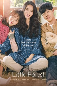 Download Little Forest (2018) {Korean With Subtitles} 480p [300MB] || 720p [835MB] || 1080p [2GB]